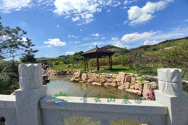 沈阳墓地畅销榜揭晓：多款优质选择，构筑理想纪念之地