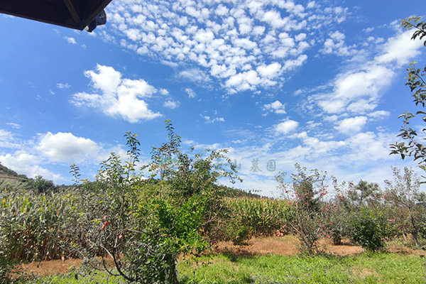 在沈阳墓地办丧事时，如何合理规划费用以减轻经济负担？