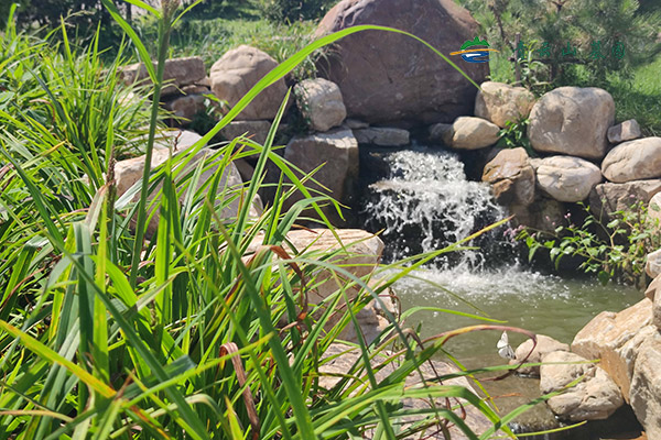 沈阳公墓的后期维护包含哪些关键项目？