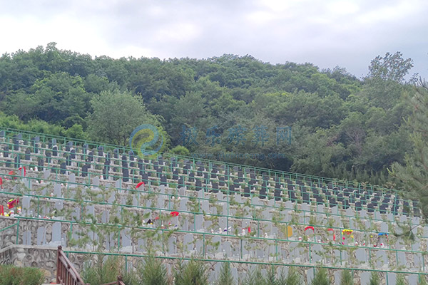 沈阳墓园免费接送车攻略,便捷服务与注意事项详解！