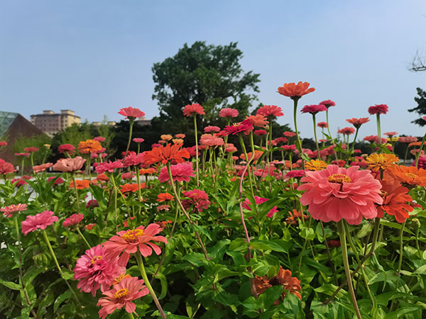 沈阳青云山公墓存在的现实意义